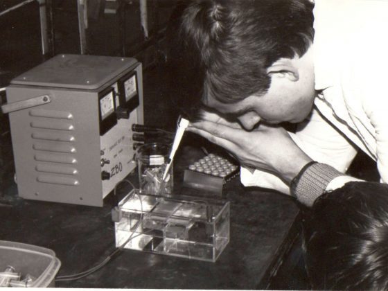 Warsztaty biochemiczne w Warszawie, 1991